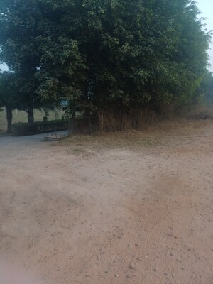 Plot Area in  Plot at Jewar – for Sale