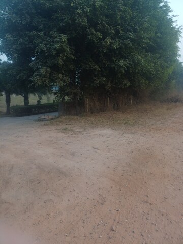 Plot Area in  Plot at Jewar – for Sale