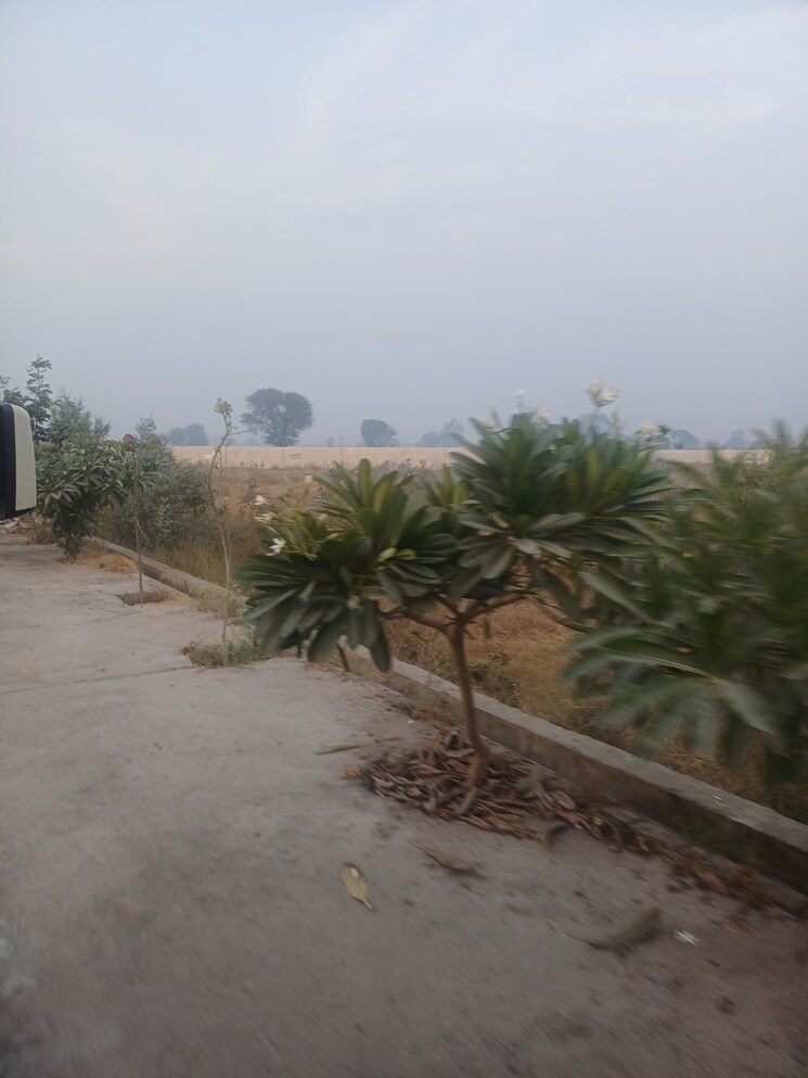 Exterior View, jewar  120 Sq.Yd. Plot In Jewar Greater Noida 9672287