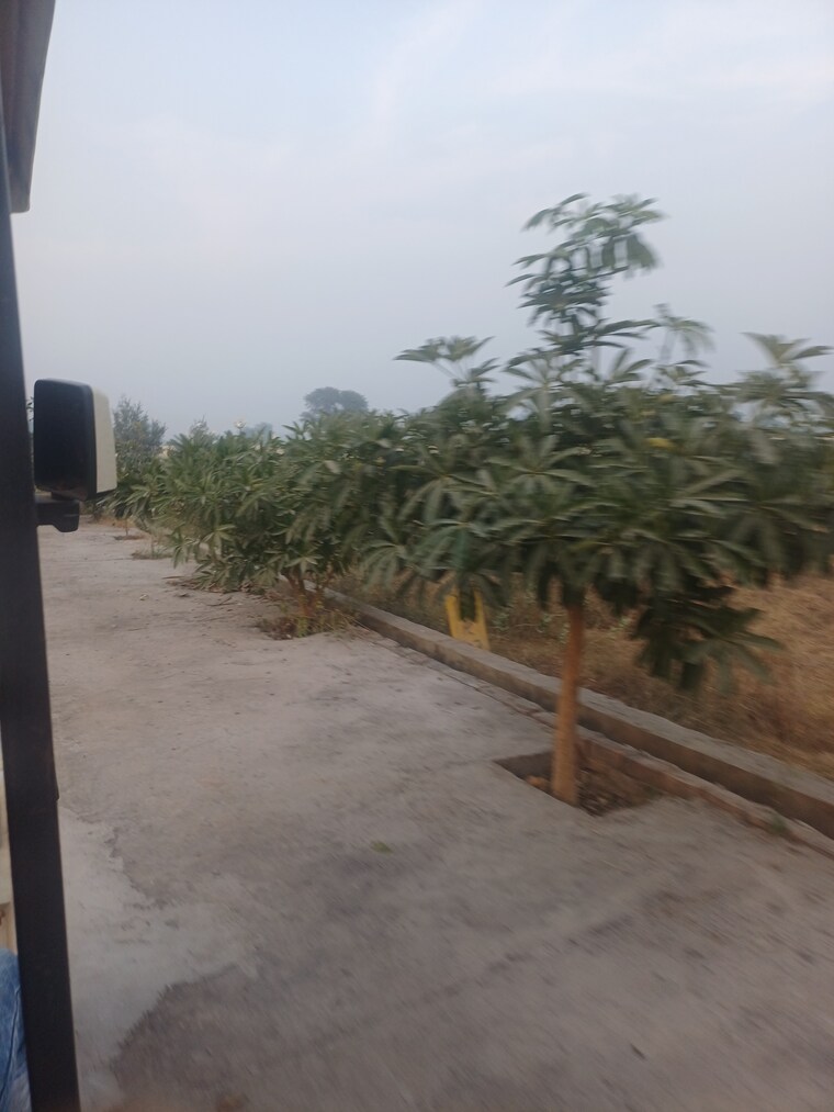 Exterior View, jewar  120 Sq.Yd. Plot In Jewar Greater Noida 9672287