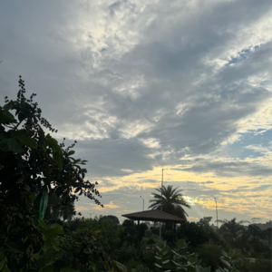 3 BHK Builder Floor – Exterior View View at Faridpur - for Sale