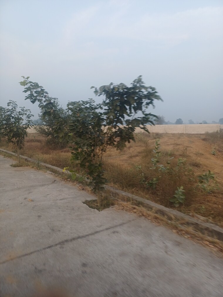 Exterior View, jewar  125 Sq.Yd. Plot In Jewar Greater Noida 9672339