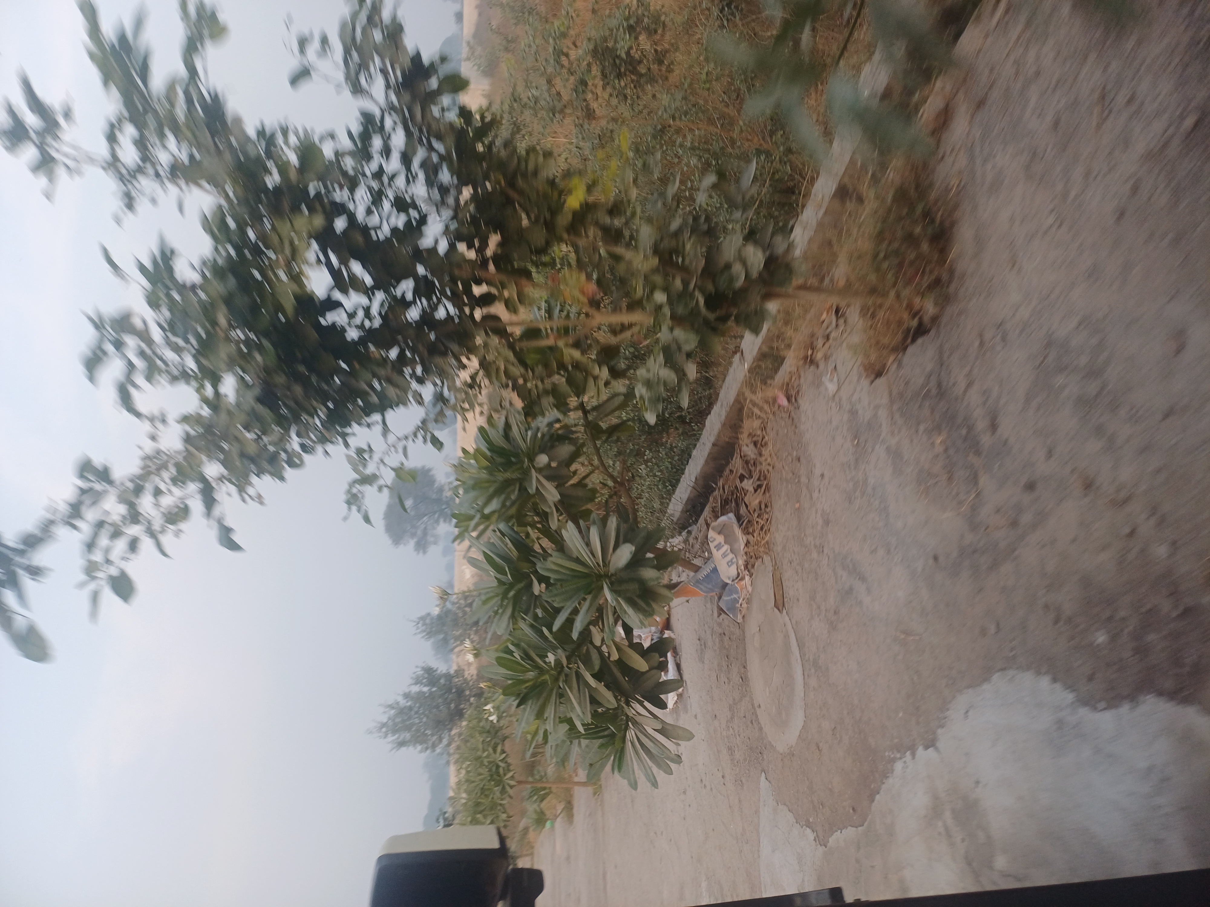 Plot For Sale in Jewar