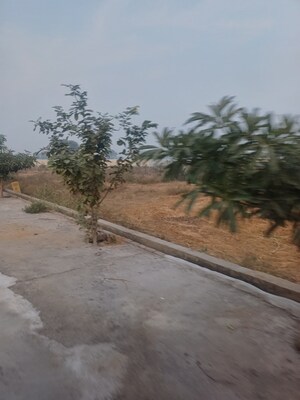  Plot – Exterior View View at Jewar - for Sale