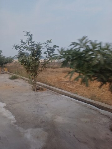  Plot – Exterior View View at Jewar - for Sale