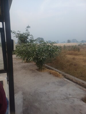  Plot – Exterior View View at Jewar - for Sale