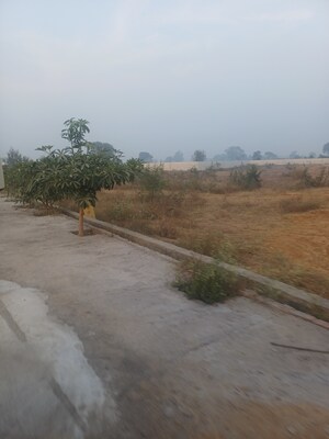 Plot Area in  Plot at Jewar – for Sale