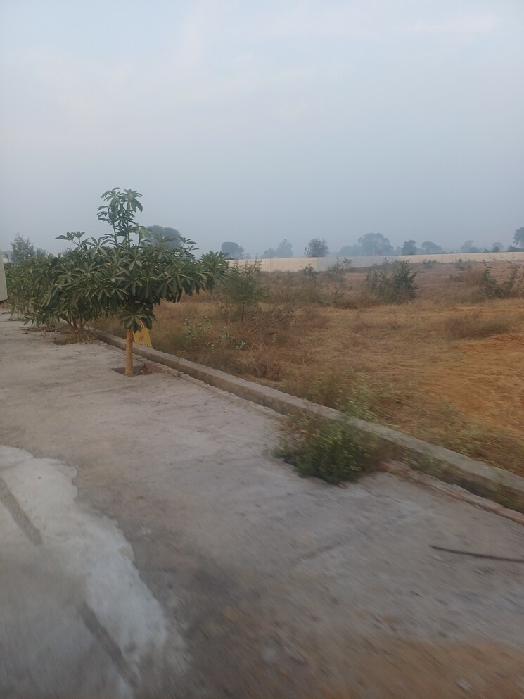 undefined, jewar  126 Sq.Yd. Plot In Jewar Greater Noida 9672413