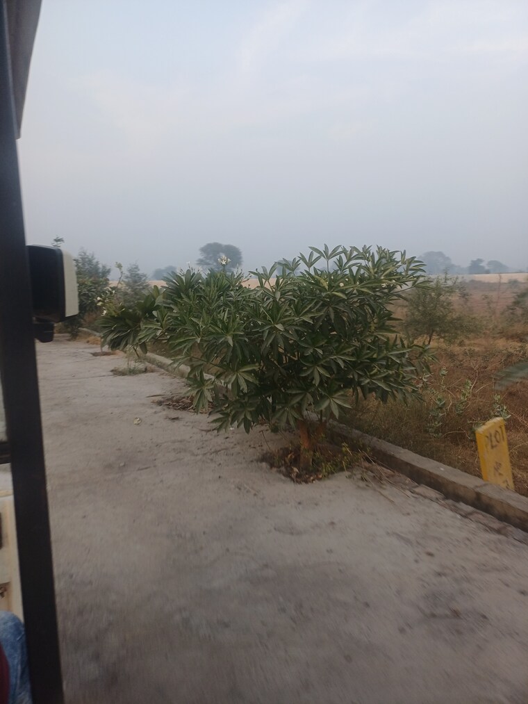 Exterior View, jewar  126 Sq.Yd. Plot In Jewar Greater Noida 9672413