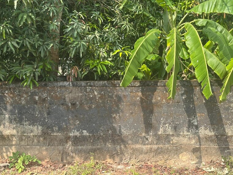 Other, nellankara  3486 Sq.Ft. Plot In Nellankara Thrissur 9672556