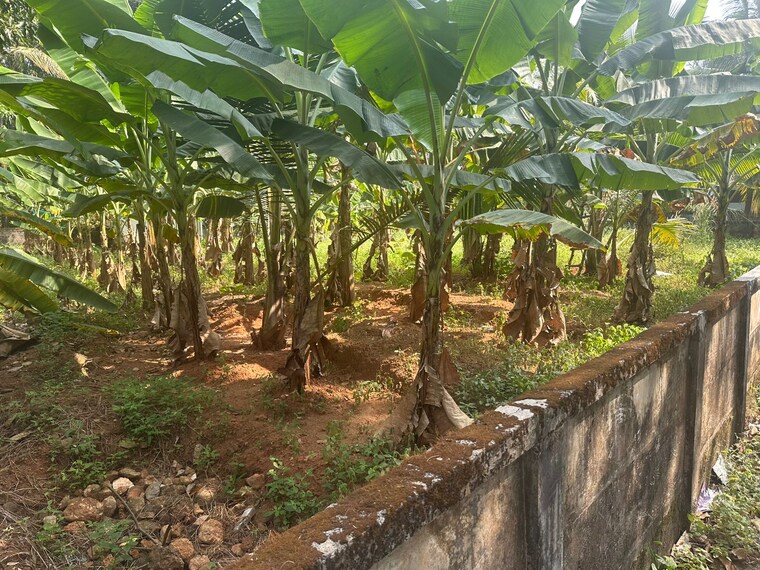 Balcony, kuttumuku  6969 Sq.Ft. Plot In Kuttumuku Thrissur 9672584