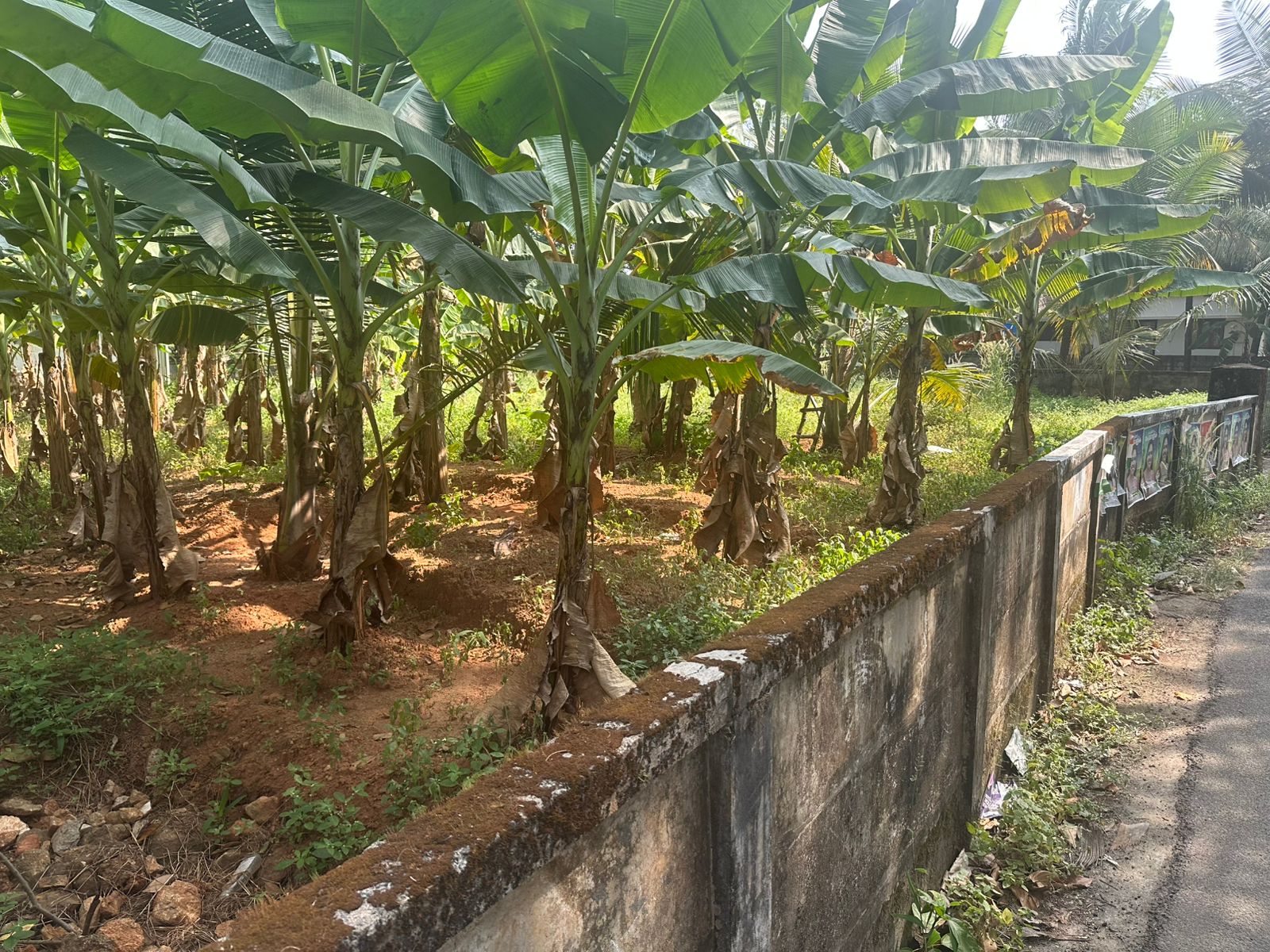 Plot For Sale in Kuttumuku