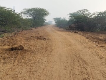  Plot For Sale in Sohna