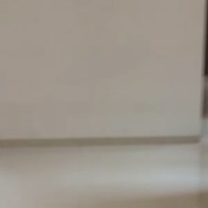 2 BHK Apartment For Rent in Vision Starwest Phase 1, Mumbai Bangalore Highway