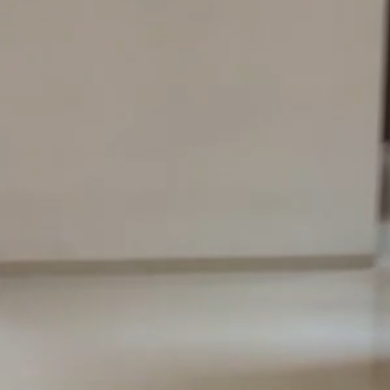 2 BHK Apartment For Rent in Vision Starwest Phase 1