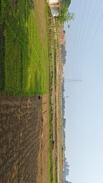 Plot Area in  Plot at Khorabar – for Sale