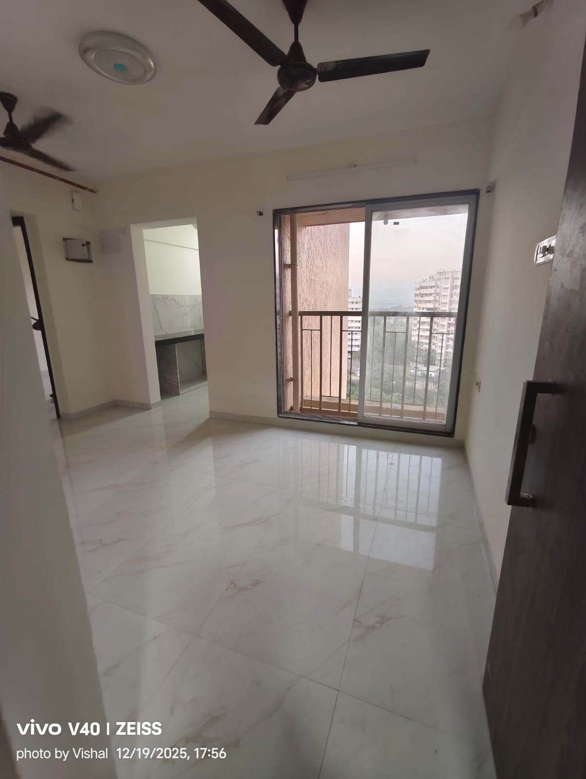 1 BHK Apartment For Rent in Metropolis Bayside