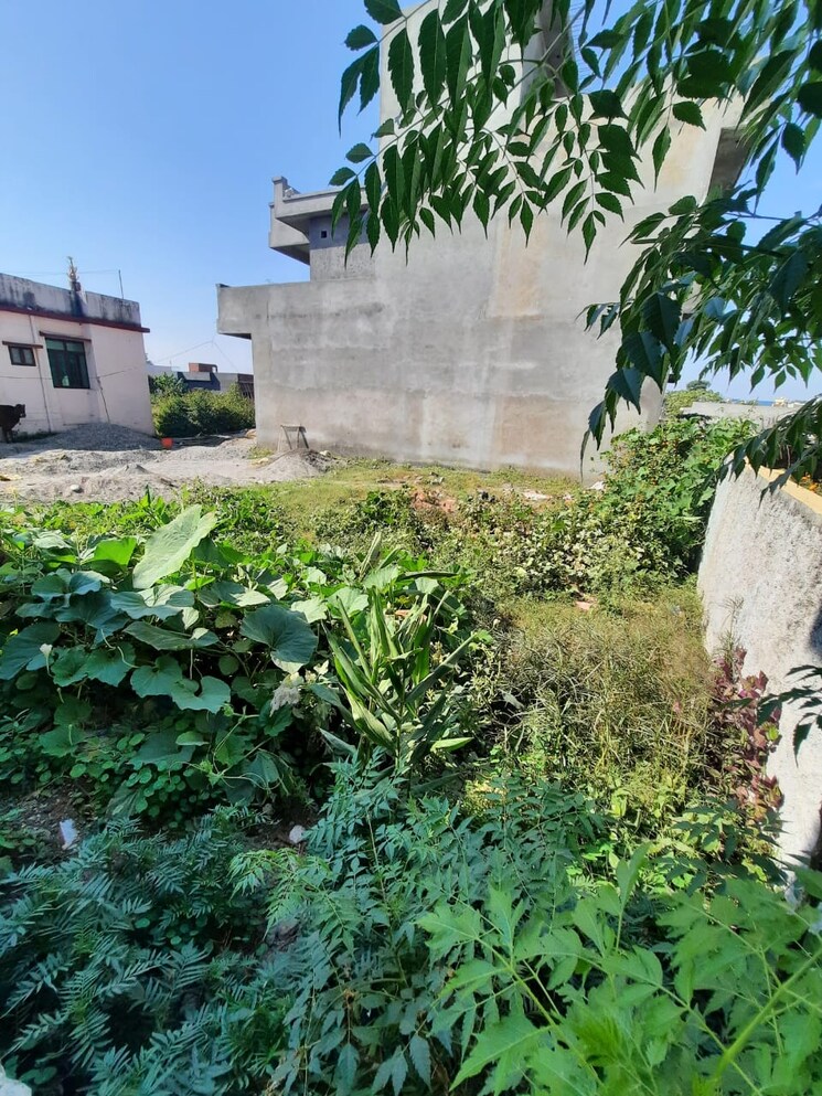 undefined, badowala  2025 Sq.Ft. Plot In Badowala Dehradun 9673584