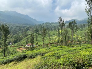  Plot For Sale in Muttil