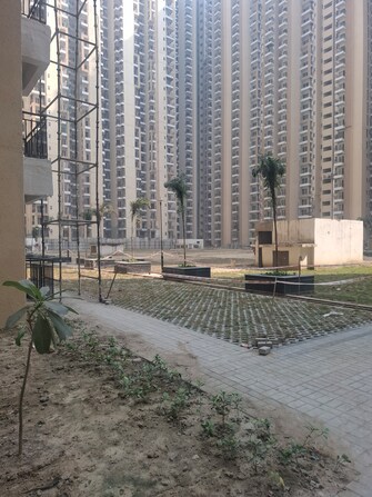 1 BHK 585 Sq.Ft. Apartment in Amrapali Dream Valley