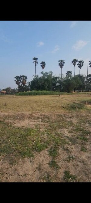 Plot Area in  Plot at Shivala Par – for Sale