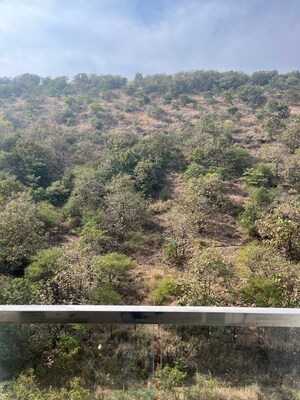 Plot Area in 1.5 BHK Apartment at Saheel ITrend Homes, Hinjewadi – for Rent