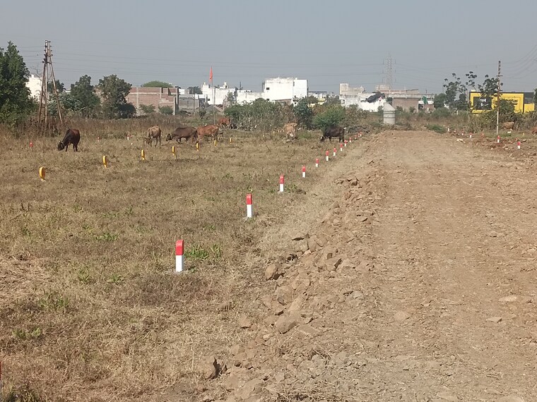 undefined, narsala  894 Sq.Ft. Plot In Narsala Nagpur 9674498