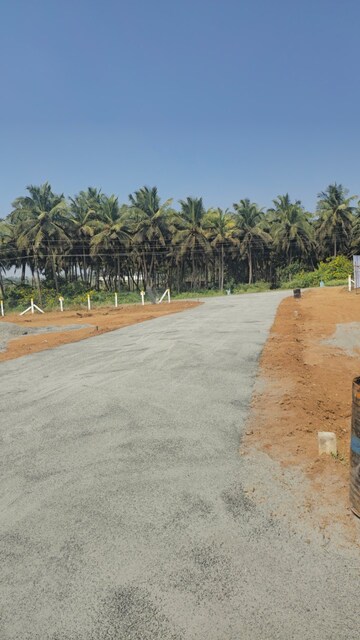 Plot Area in  Plot at Kinathukadavu – for Sale