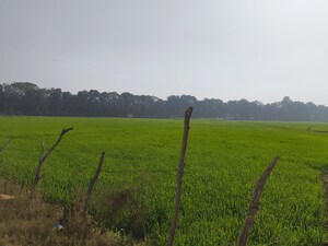 Plot Area in  Land at LudhianA-Chandigarh Hwy – for Sale