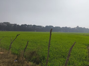 Plot Area in  Land at LudhianA-Chandigarh Hwy – for Sale