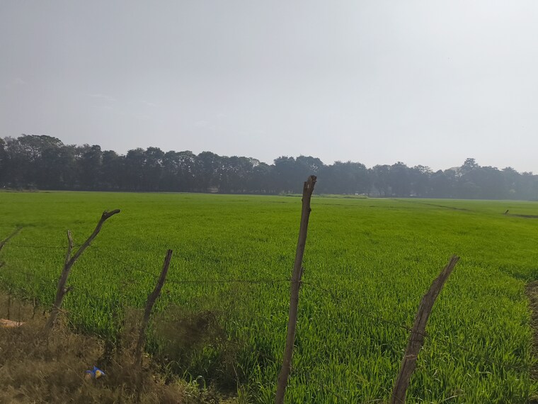 undefined, ludhiana chandigarh hwy Commercial Land 4 Acre In LudhianA Chandigarh Hwy Mohali 9674582