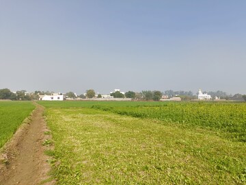  Land For Sale in LudhianA-Chandigarh Hwy