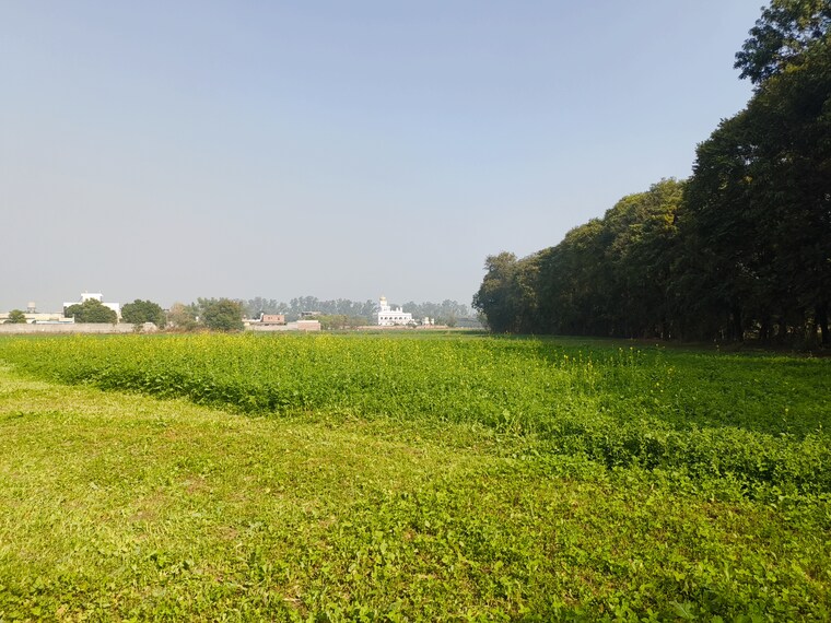 undefined, ludhiana chandigarh hwy Commercial Land 4 Acre In LudhianA Chandigarh Hwy Mohali 9674582