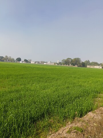 Plot Area in  Land at LudhianA-Chandigarh Hwy – for Sale