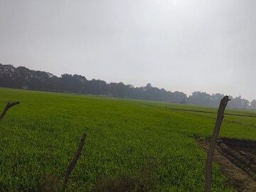 Plot Area in  Land at LudhianA-Chandigarh Hwy – for Sale