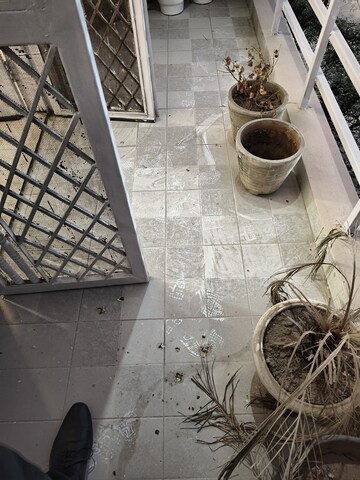 Balcony in 2 BHK Builder Floor at SS The Lilac, Sector 49 – for Rent