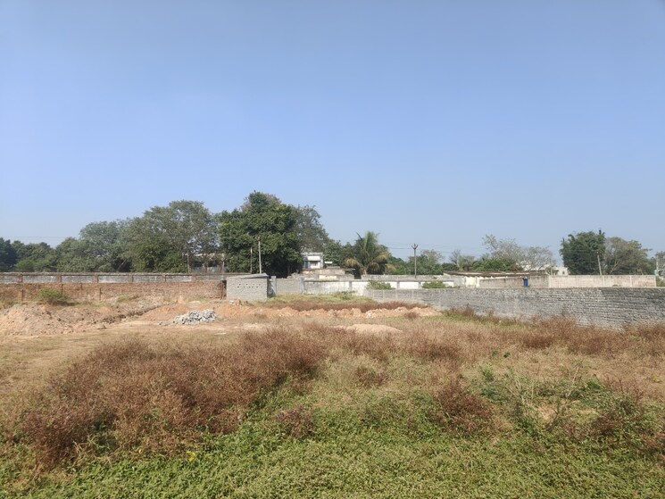 undefined, bit mesra  2830 Sq.Ft. Plot In Bit Mesra Ranchi 9674632