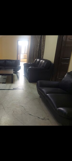 3 BHK Builder Floor For Rent in Dlf City Phase 3