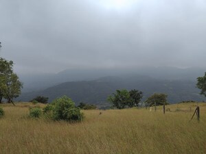 Plot Area in  Plot at Bhor – for Sale