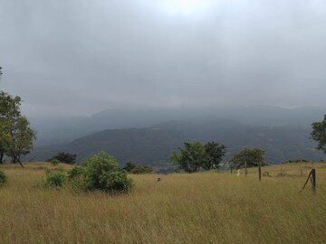 Plot Area in  Plot at Bhor – for Sale