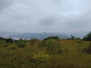 Plot Area in  Plot at Bhor – for Sale