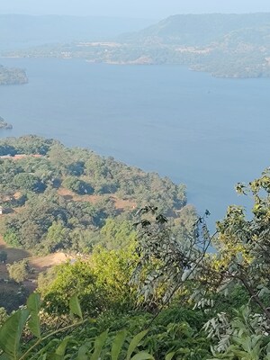  Plot For Sale in Bhor