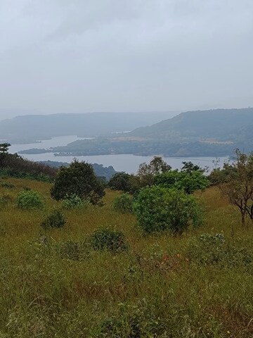 Plot Area in  Plot at Bhor – for Sale