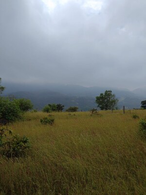 Plot Area in  Plot at Bhor – for Sale