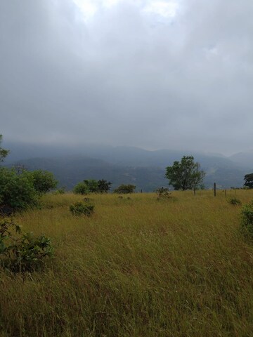 Plot Area in  Plot at Bhor – for Sale