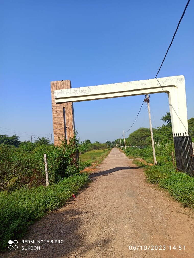 undefined, panagar  1000 Sq.Ft. Plot In Panagar Jabalpur 9675058