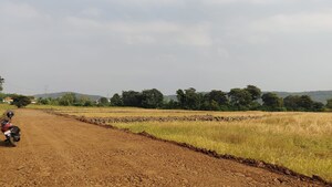 Plot Area in  Plot at Barela Road – for Sale