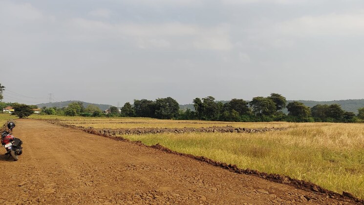 undefined, barela road  1000 Sq.Ft. Plot In Barela Road Jabalpur 9675108