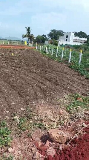 Plot Area in  Plot at Vijayawada One Town – for Sale