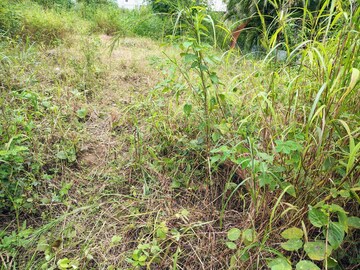 Plot Area in  Plot at Bhugaon – for Sale